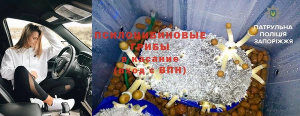 spice Богородицк